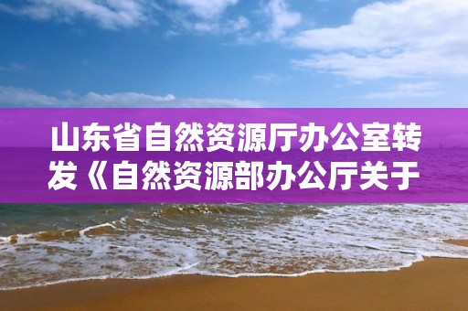 山东省自然资源厅办公室转发《自然资源部办公厅关于进一步加强补充耕地项目管理严格新增耕地核实认定的通知》的通知