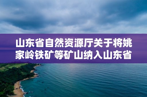 山东省自然资源厅关于将姚家岭铁矿等矿山纳入山东省省级绿色矿山名录（第四批）的公告