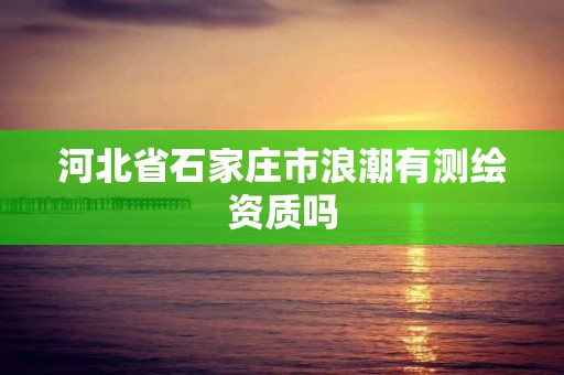 河北省石家庄市浪潮有测绘资质吗