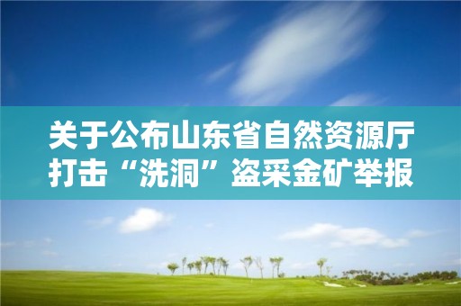 关于公布山东省自然资源厅打击“洗洞”盗采金矿举报方式的公告