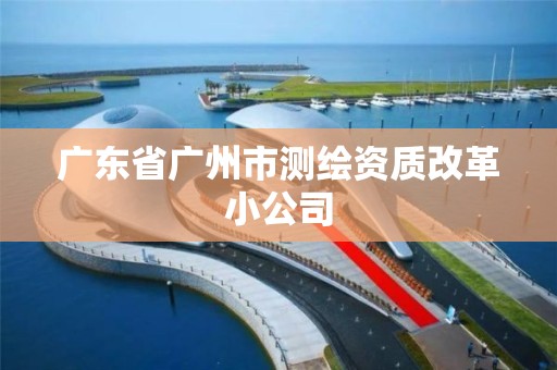 广东省广州市测绘资质改革小公司