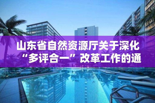 山东省自然资源厅关于深化“多评合一”改革工作的通知