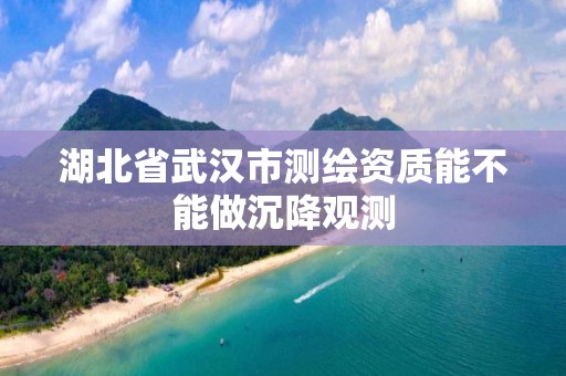 湖北省武汉市测绘资质能不能做沉降观测