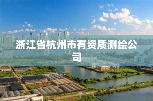 浙江省杭州市有资质测绘公司