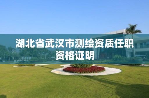 湖北省武汉市测绘资质任职资格证明