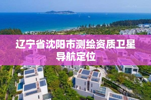 辽宁省沈阳市测绘资质卫星导航定位