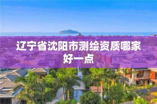 辽宁省沈阳市测绘资质哪家好一点