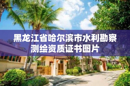 黑龙江省哈尔滨市水利勘察测绘资质证书图片