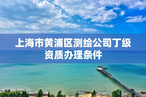 上海市黄浦区测绘公司丁级资质办理条件