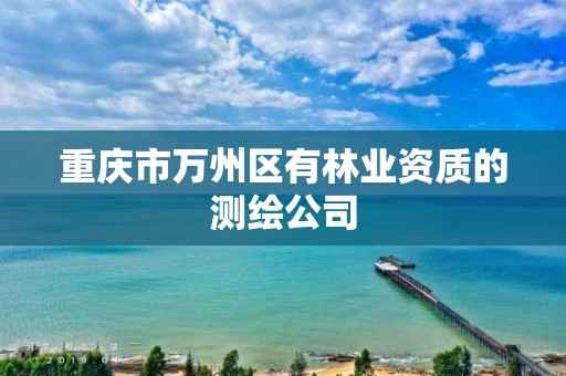 重庆市万州区有的测绘公司