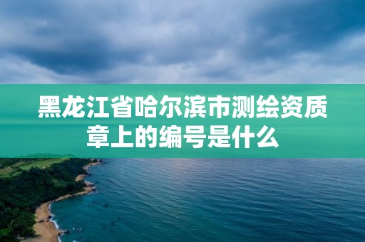 黑龙江省哈尔滨市测绘资质章上的编号是什么