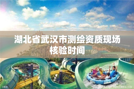 湖北省武汉市测绘资质现场核验时间