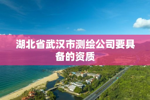 湖北省武汉市测绘公司要具备的资质