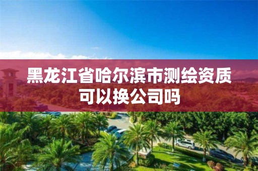 黑龙江省哈尔滨市测绘资质可以换公司吗