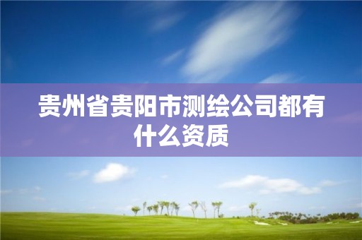 贵州省贵阳市测绘公司都有什么资质