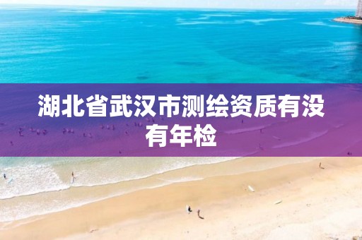 湖北省武汉市测绘资质有没有年检