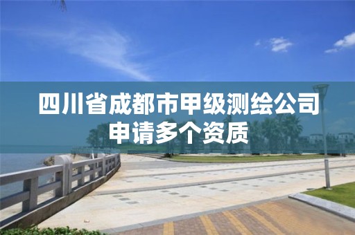 四川省成都市甲级测绘公司申请多个资质