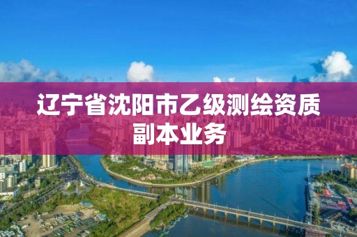 辽宁省沈阳市乙级测绘资质副本业务