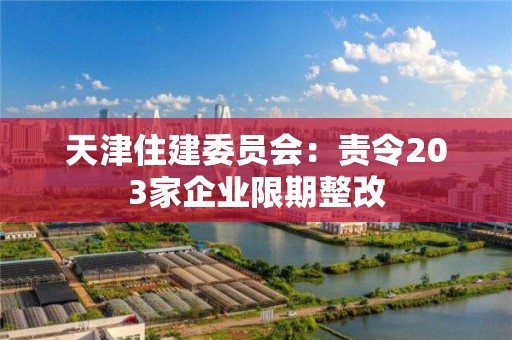 天津住建委员会：责令203家企业限期整改