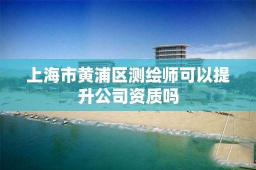 上海市黄浦区测绘师可以提升公司资质吗