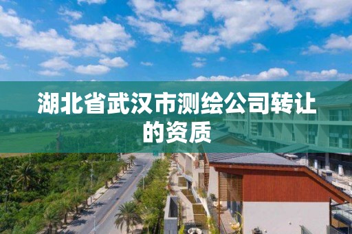 湖北省武汉市测绘公司转让的资质