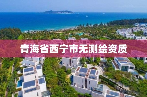 青海省西宁市无测绘资质