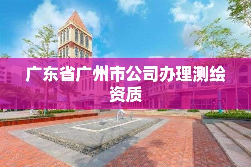 广东省广州市公司办理测绘资质