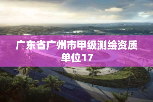 广东省广州市甲级测绘资质单位17