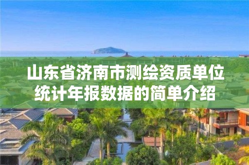 山东省济南市测绘资质单位统计年报数据的简单介绍