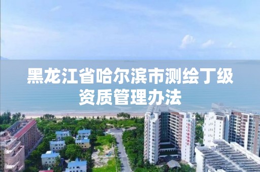 黑龙江省哈尔滨市测绘丁级资质管理办法