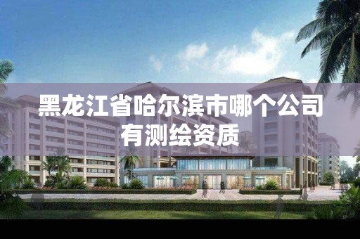 黑龙江省哈尔滨市哪个公司有测绘资质