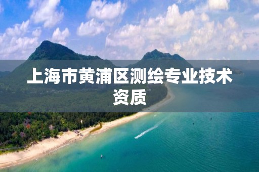 上海市黄浦区测绘专业技术资质