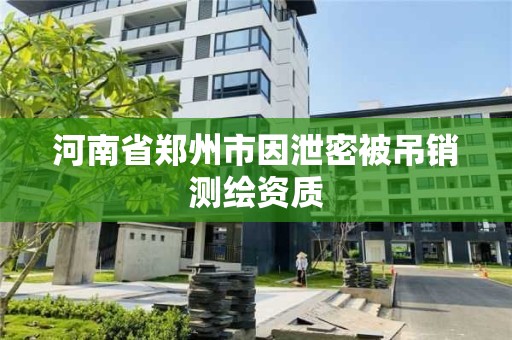 河南省郑州市因泄密被吊销测绘资质