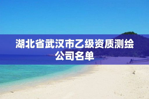 湖北省武汉市乙级资质测绘公司名单