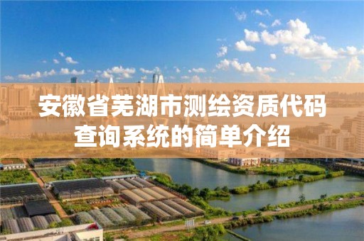 安徽省芜湖市测绘资质代码查询系统的简单介绍