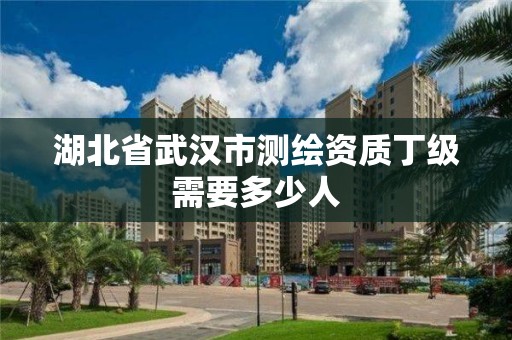 湖北省武汉市测绘资质丁级需要多少人