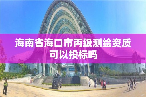 海南省海口市丙级测绘资质可以投标吗