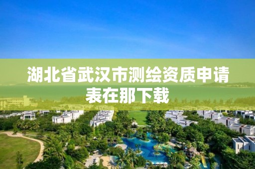 湖北省武汉市测绘资质申请表在那下载