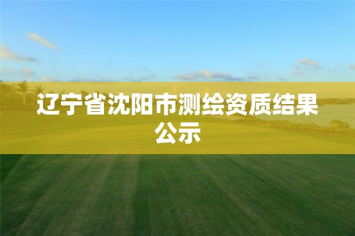 辽宁省沈阳市测绘资质结果公示