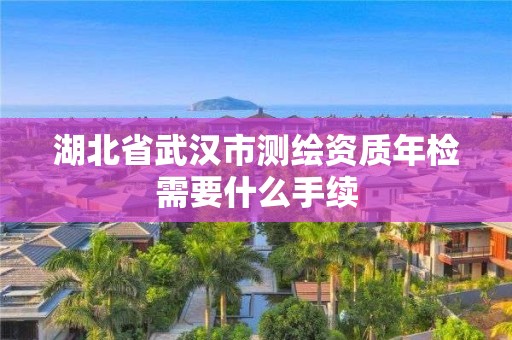 湖北省武汉市测绘资质年检需要什么手续