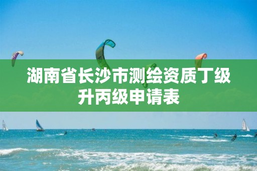 湖南省长沙市测绘资质丁级升丙级申请表