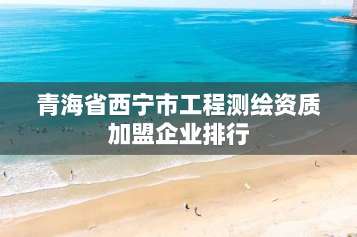 青海省西宁市工程测绘资质加盟企业排行