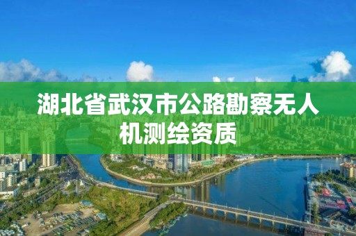 湖北省武汉市公路勘察无人机测绘资质