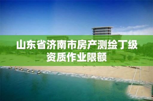 山东省济南市房产测绘丁级资质作业限额