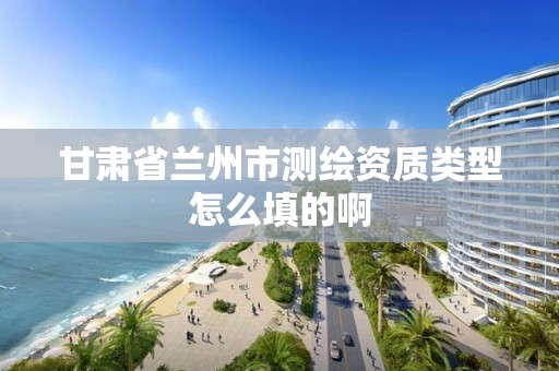 甘肃省兰州市测绘资质类型怎么填的啊