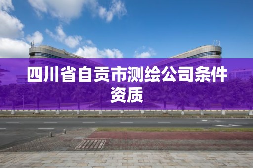 四川省自贡市测绘公司条件资质