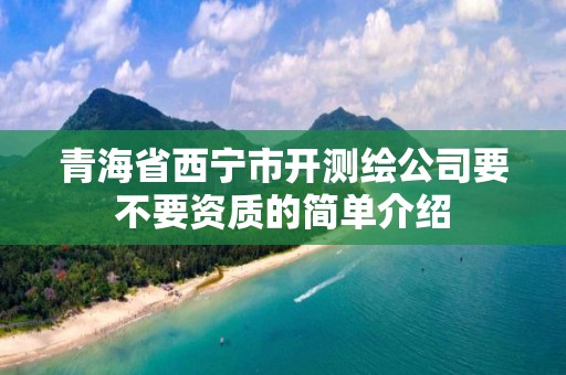 青海省西宁市开测绘公司要不要资质的简单介绍