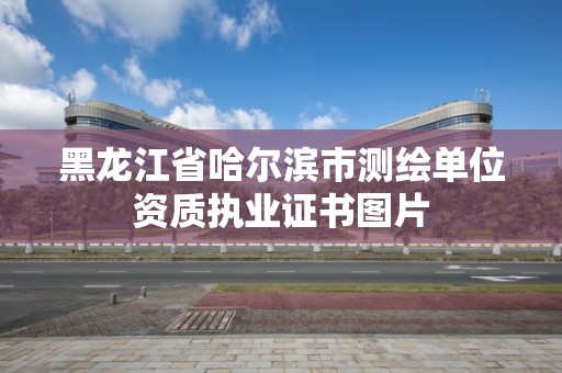 黑龙江省哈尔滨市测绘单位资质执业证书图片