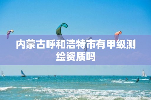 内蒙古呼和浩特市有甲级测绘资质吗