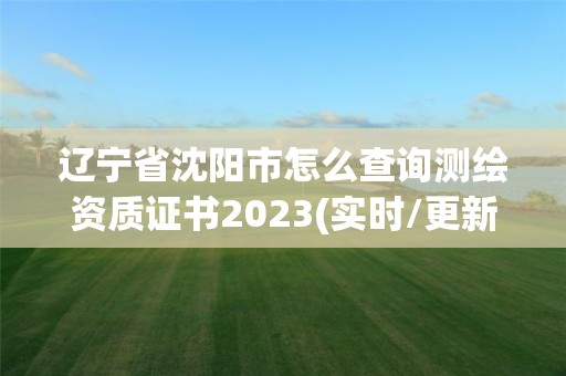 辽宁省沈阳市怎么查询测绘资质证书2023(实时/更新中)